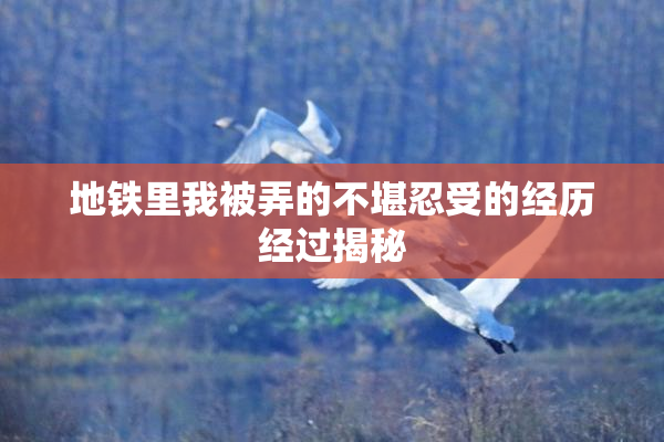 地铁里我被弄的不堪忍受的经历经过揭秘