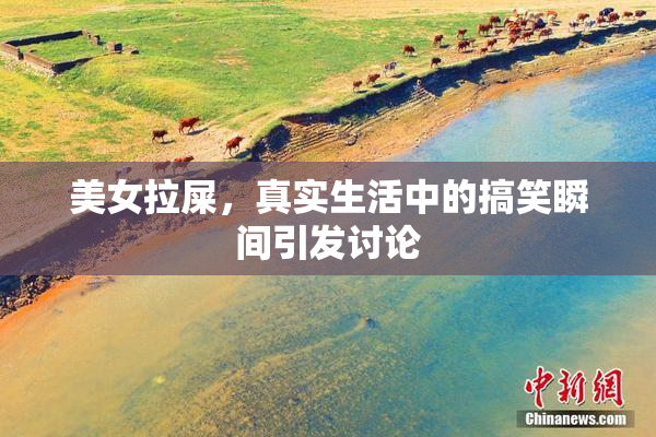 美女拉屎，真实生活中的搞笑瞬间引发讨论