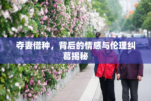 夺妻借种，背后的情感与伦理纠葛揭秘