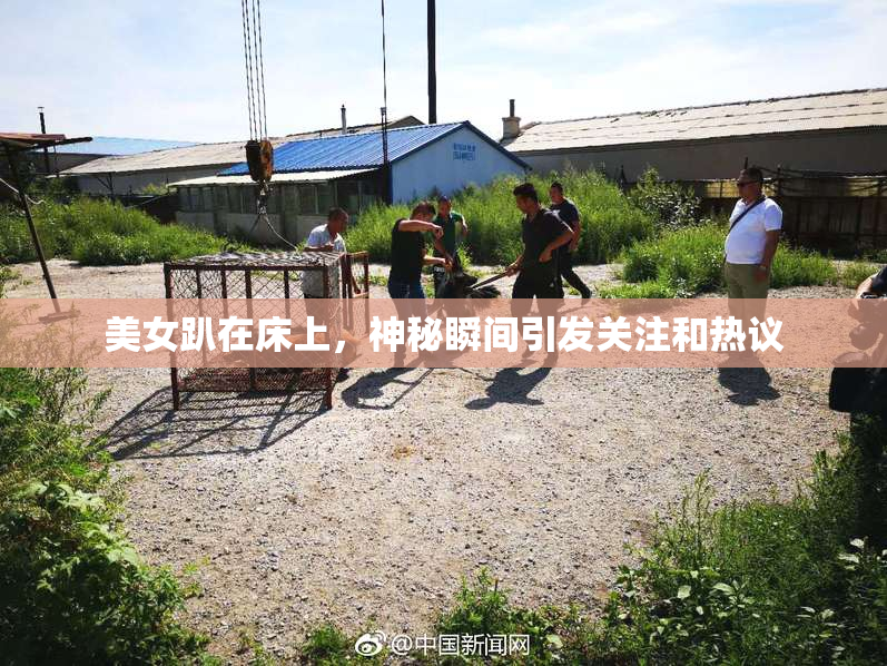 美女趴在床上，神秘瞬间引发关注和热议