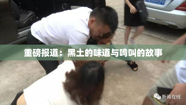 重磅报道：黑土的味道与鸣叫的故事