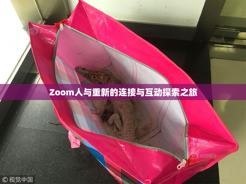 Zoom人与重新的连接与互动探索之旅