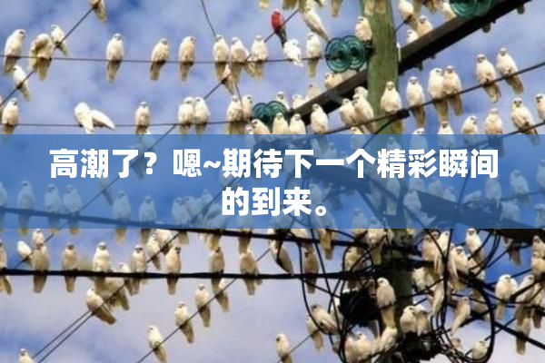 高潮了？嗯~期待下一个精彩瞬间的到来。