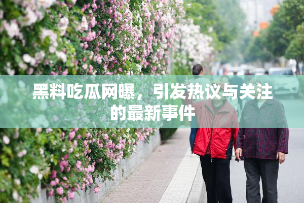 黑料吃瓜网曝，引发热议与关注的最新事件