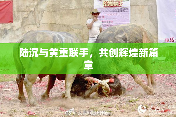陆沉与黄重联手，共创辉煌新篇章