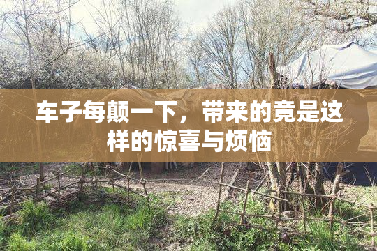 车子每颠一下，带来的竟是这样的惊喜与烦恼