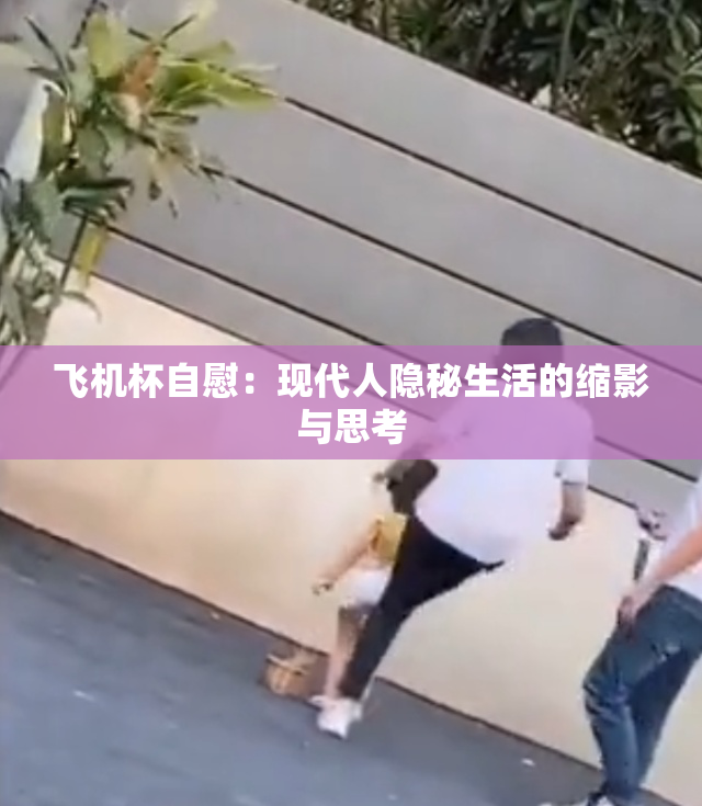 飞机杯自慰：现代人隐秘生活的缩影与思考