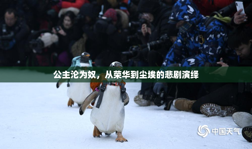 公主沦为奴，从荣华到尘埃的悲剧演绎