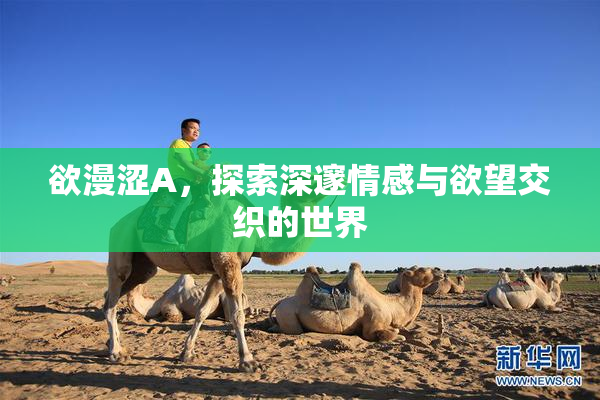 欲漫涩A，探索深邃情感与欲望交织的世界