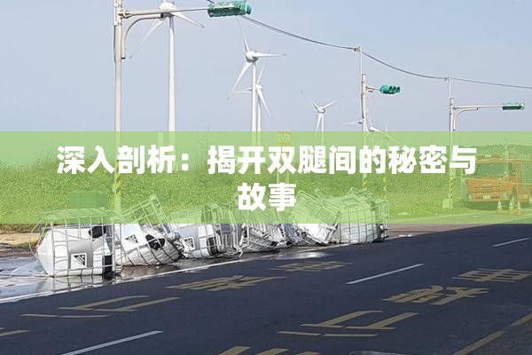 深入剖析：揭开双腿间的秘密与故事