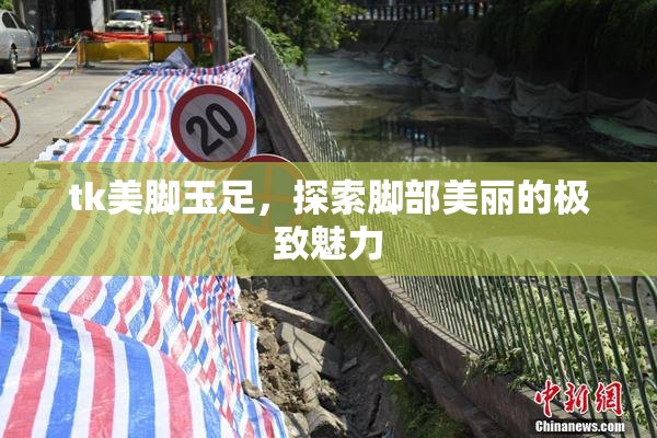 tk美脚玉足，探索脚部美丽的极致魅力