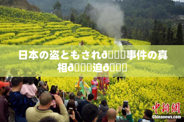 日本の盗ともされ👅事件の真相🎆迫🌃
