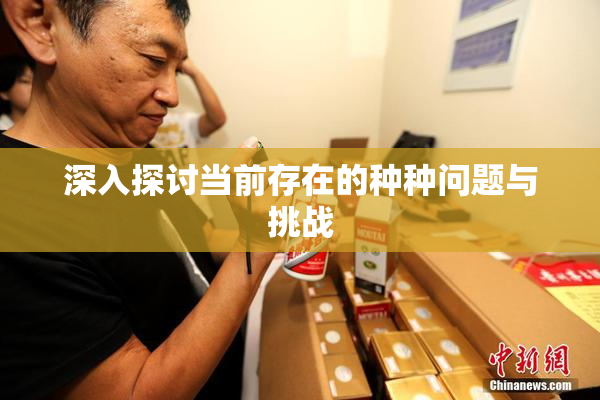 深入探讨当前存在的种种问题与挑战