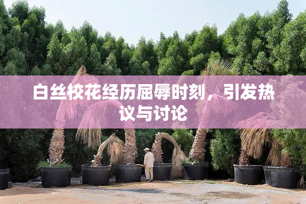 白丝校花经历屈辱时刻，引发热议与讨论