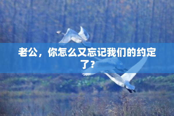 老公，你怎么又忘记我们的约定了？
