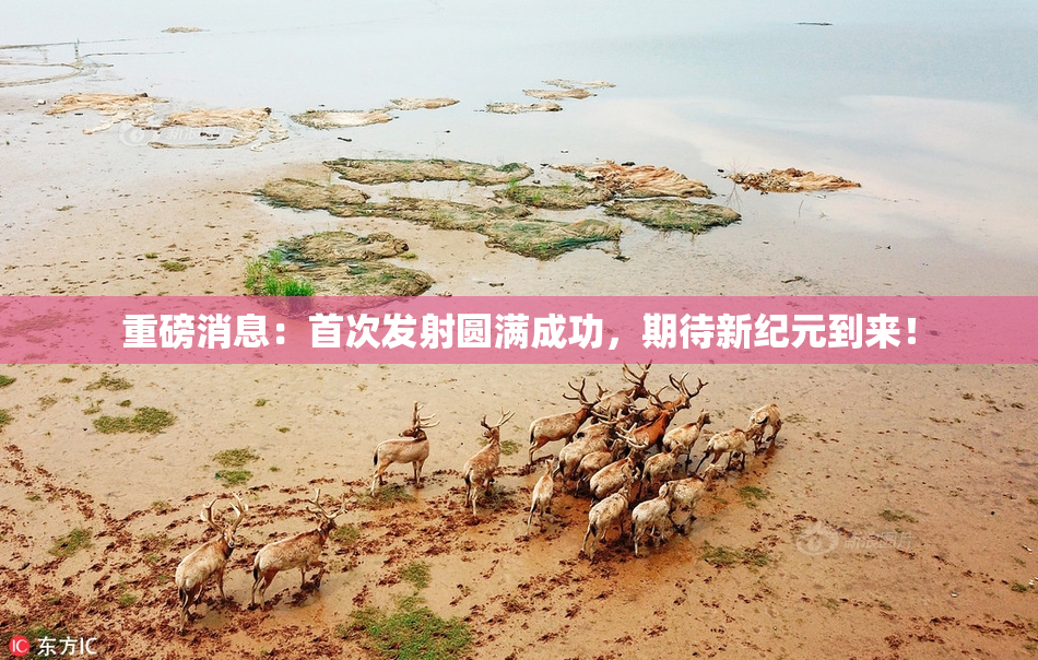 重磅消息：首次发射圆满成功，期待新纪元到来！