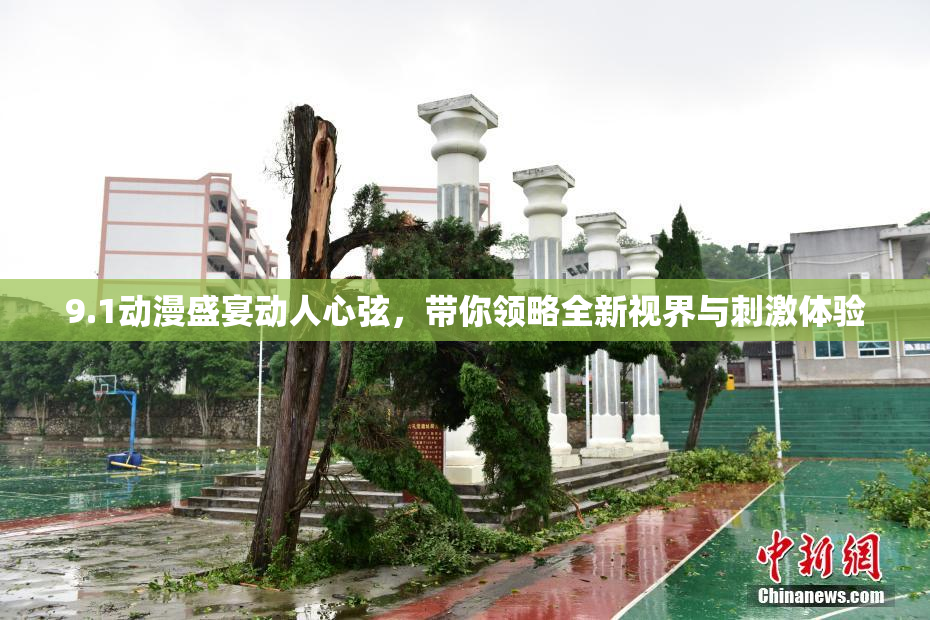 9.1动漫盛宴动人心弦，带你领略全新视界与刺激体验