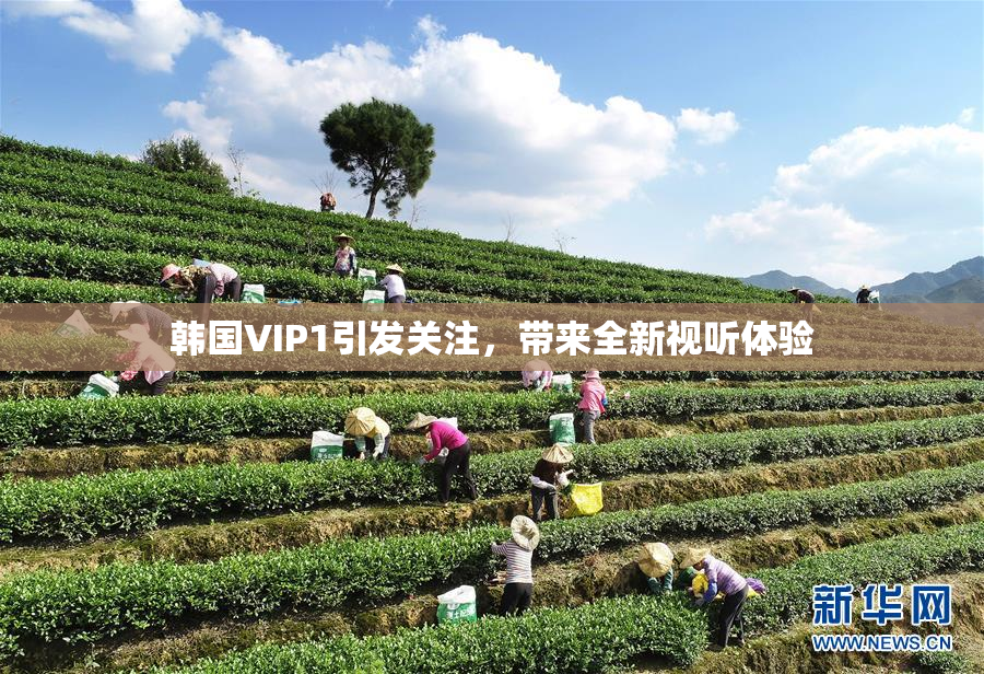韩国VIP1引发关注，带来全新视听体验