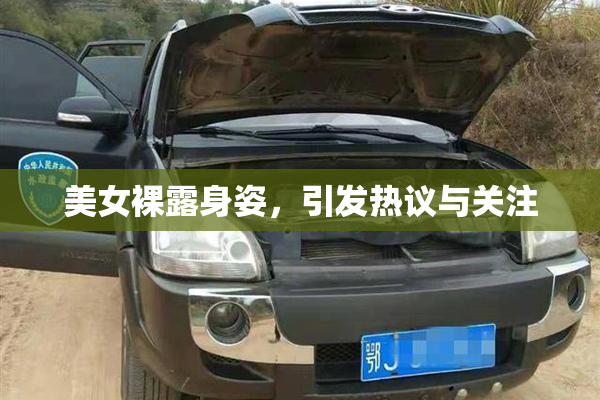 美女裸露身姿，引发热议与关注