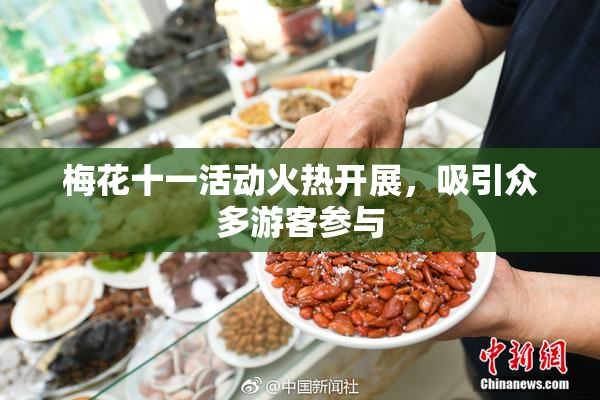梅花十一活动火热开展，吸引众多游客参与