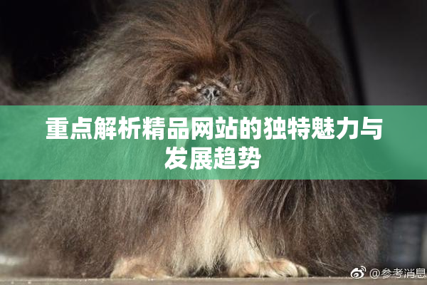 重点解析精品网站的独特魅力与发展趋势
