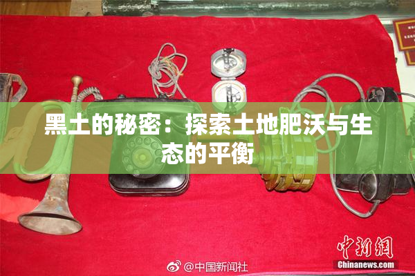 黑土的秘密：探索土地肥沃与生态的平衡