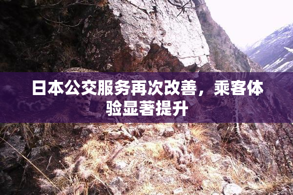 日本公交服务再次改善，乘客体验显著提升