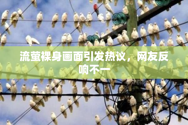 流萤裸身画面引发热议，网友反响不一