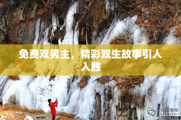 免费双男主，精彩双生故事引人入胜