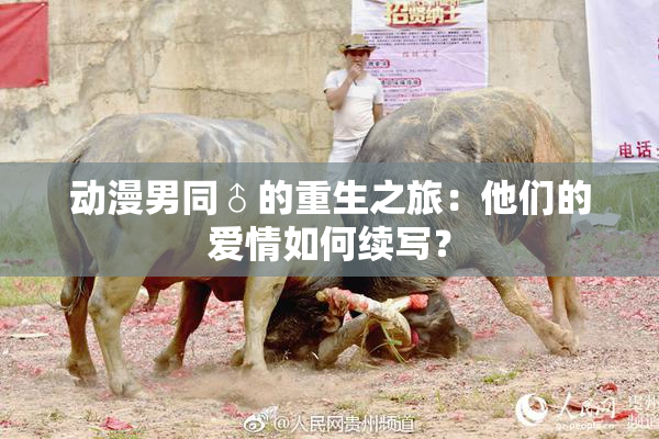 动漫男同♂的重生之旅：他们的爱情如何续写？