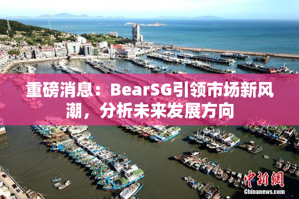 重磅消息：BearSG引领市场新风潮，分析未来发展方向
