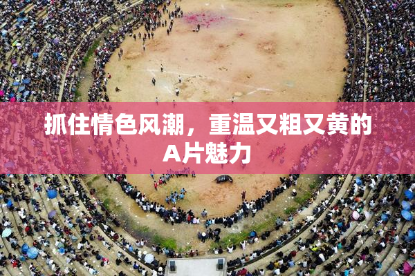 抓住情色风潮，重温又粗又黄的A片魅力