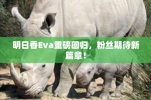 明日香Eva重磅回归，粉丝期待新篇章！