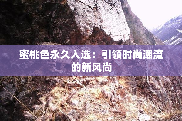 蜜桃色永久入选：引领时尚潮流的新风尚