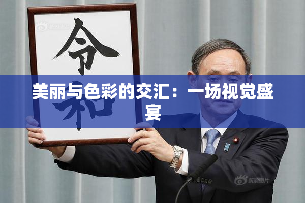 美丽与色彩的交汇：一场视觉盛宴
