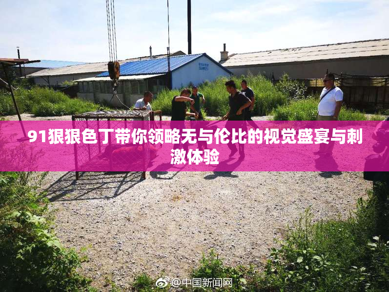 91狠狠色丁带你领略无与伦比的视觉盛宴与刺激体验