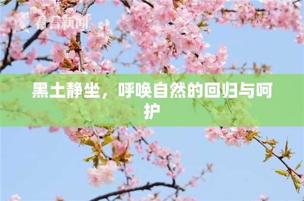 黑土静坐，呼唤自然的回归与呵护