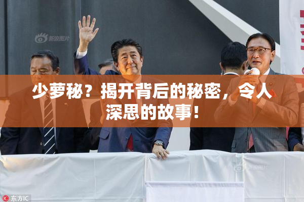 少萝秘？揭开背后的秘密，令人深思的故事！