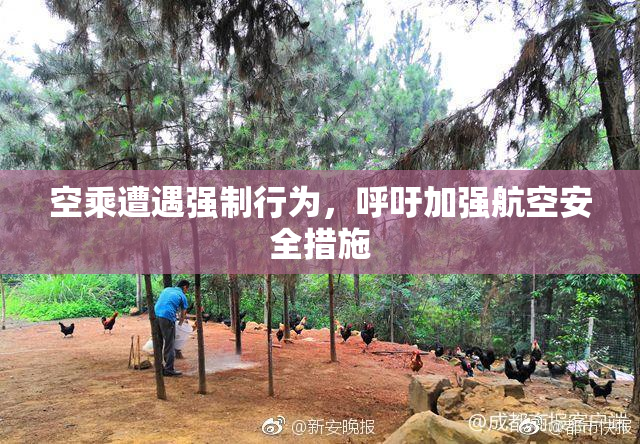空乘遭遇强制行为，呼吁加强航空安全措施