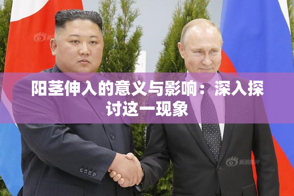 阳茎伸入的意义与影响：深入探讨这一现象