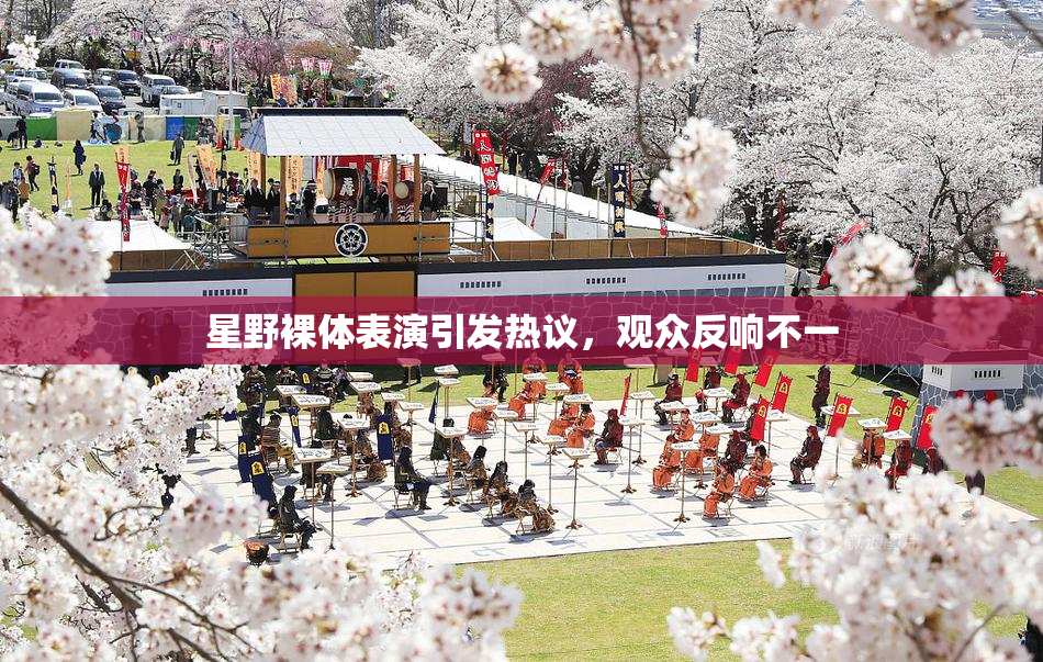 星野裸体表演引发热议，观众反响不一