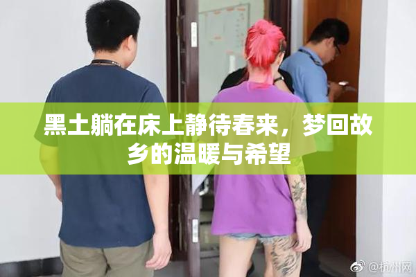黑土躺在床上静待春来，梦回故乡的温暖与希望