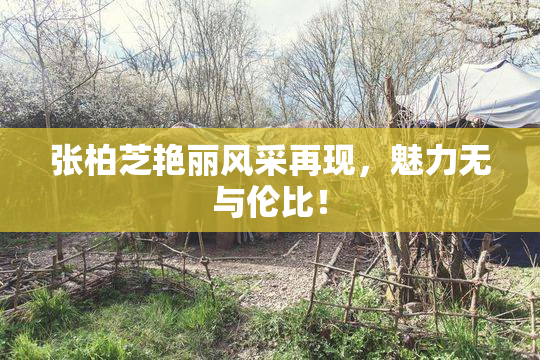 张柏芝艳丽风采再现，魅力无与伦比！