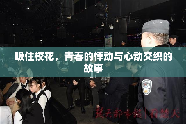 吸住校花，青春的悸动与心动交织的故事
