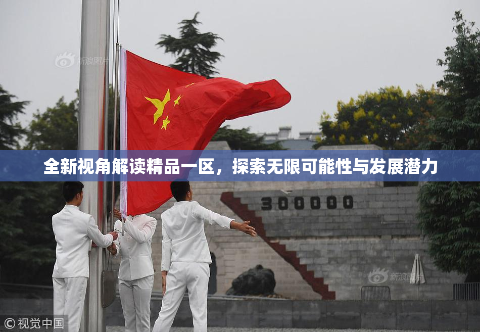 全新视角解读精品一区，探索无限可能性与发展潜力