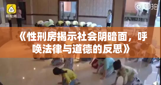 《性刑房揭示社会阴暗面，呼唤法律与道德的反思》