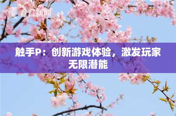 触手P：创新游戏体验，激发玩家无限潜能