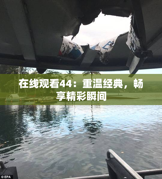 在线观看44：重温经典，畅享精彩瞬间