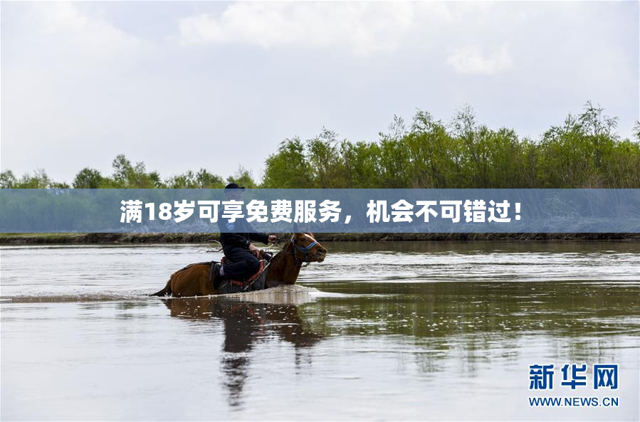 满18岁可享免费服务，机会不可错过！