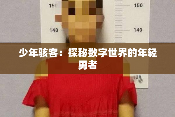 少年骇客：探秘数字世界的年轻勇者